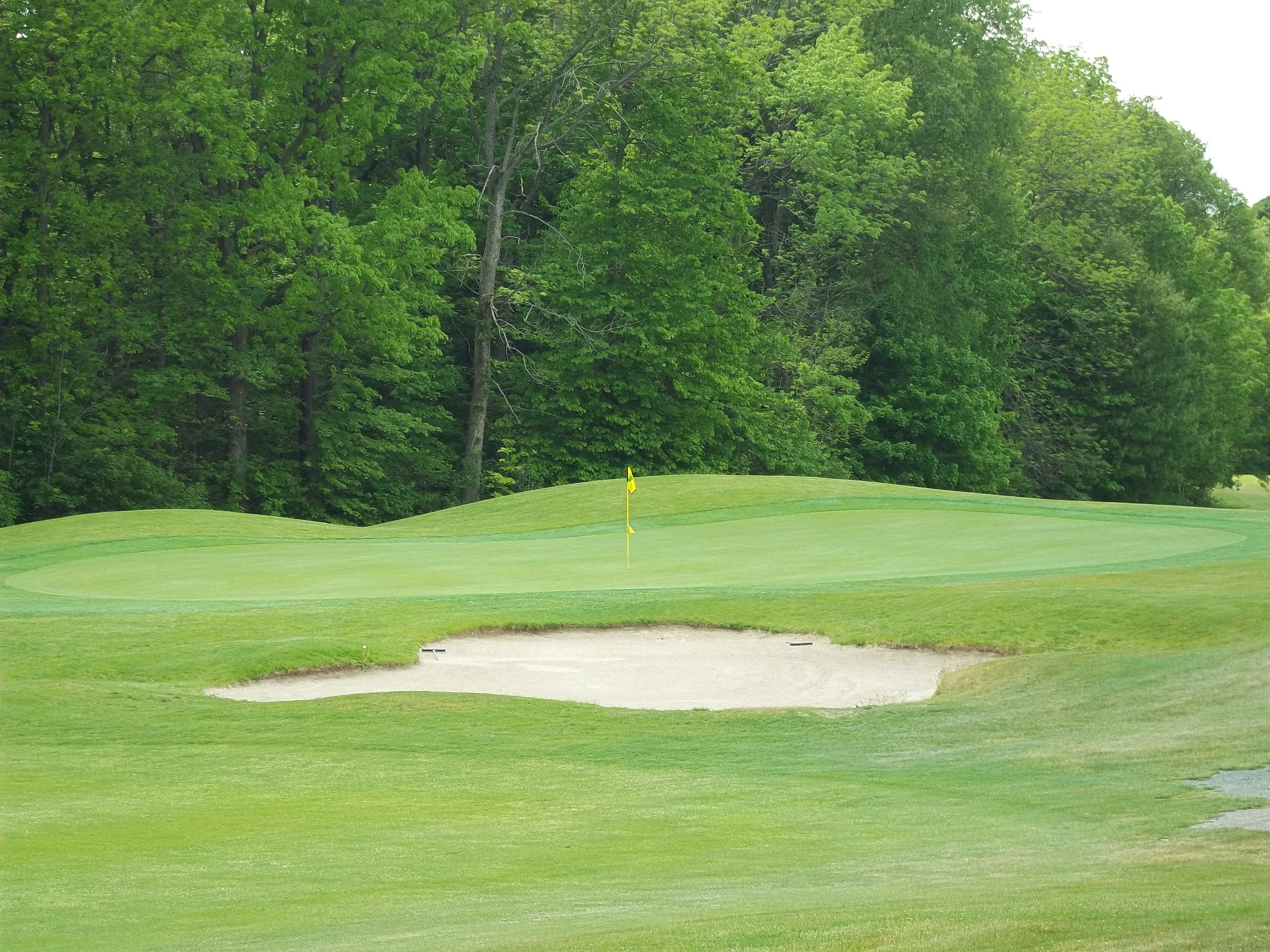 Maintenance operations at Brandon golf course to be privatized Turf & Rec