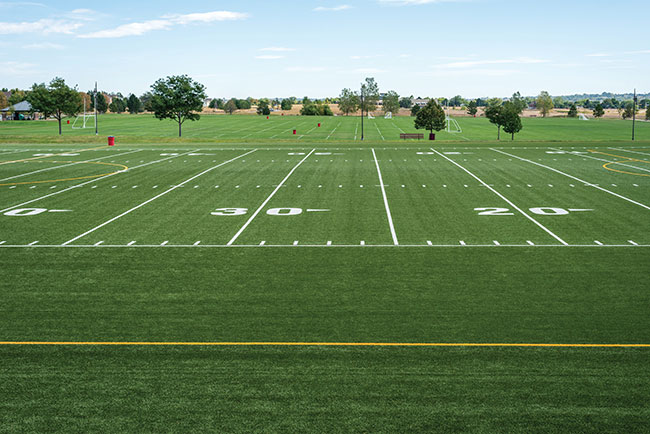 Football turf shop